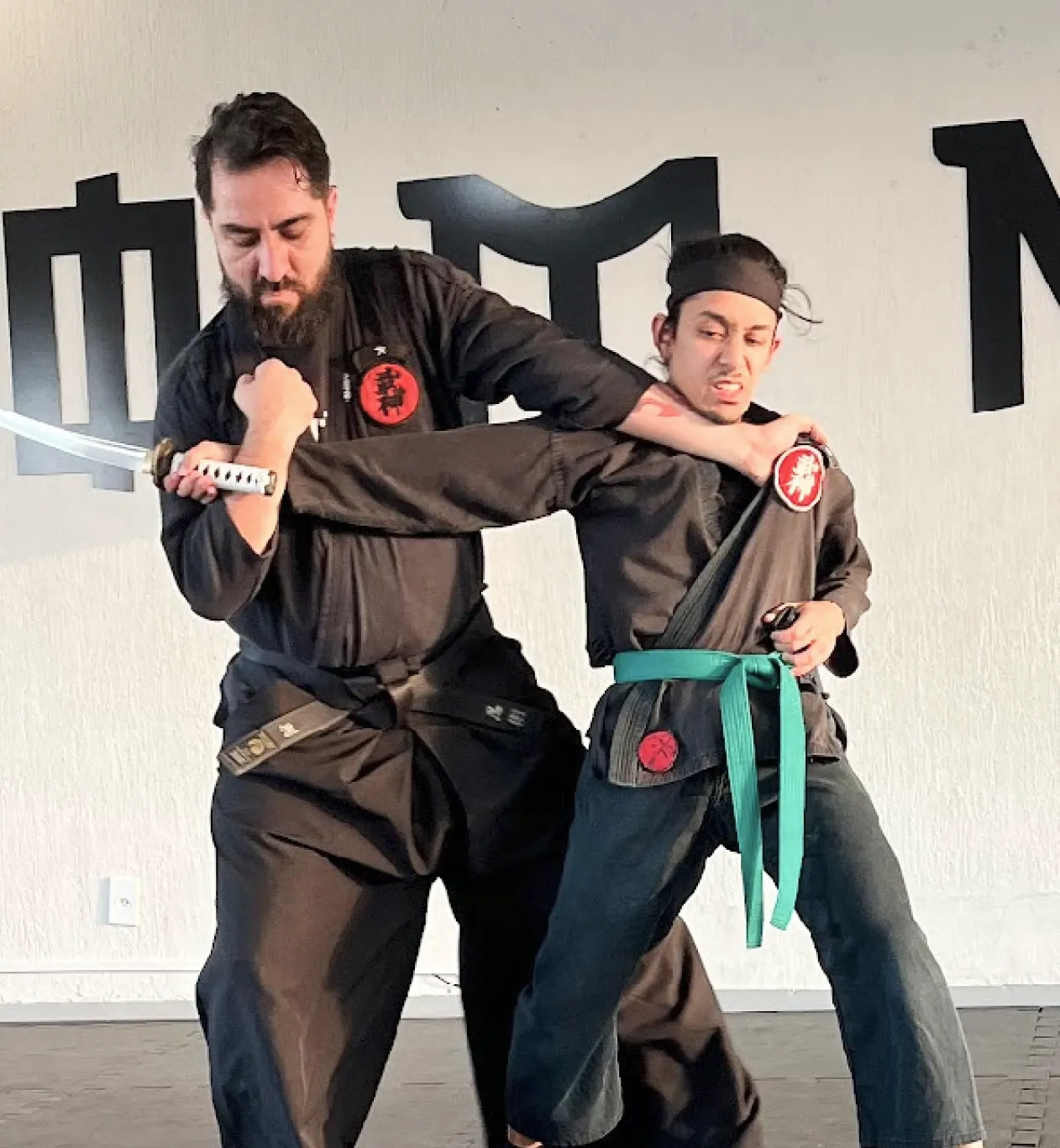 Ninjutsu